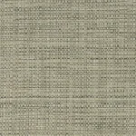 Damaris taupe result