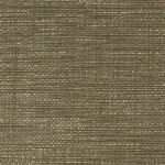 Damaris terra result