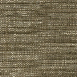 Damaris terra result