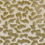 Kaki